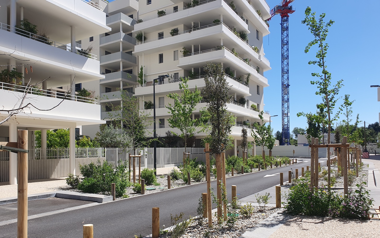 Renaturation des espaces publics - Quartier Port Marianne