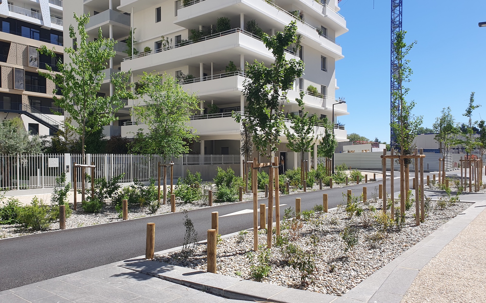 Renaturation des espaces publics - Quartier Port Marianne