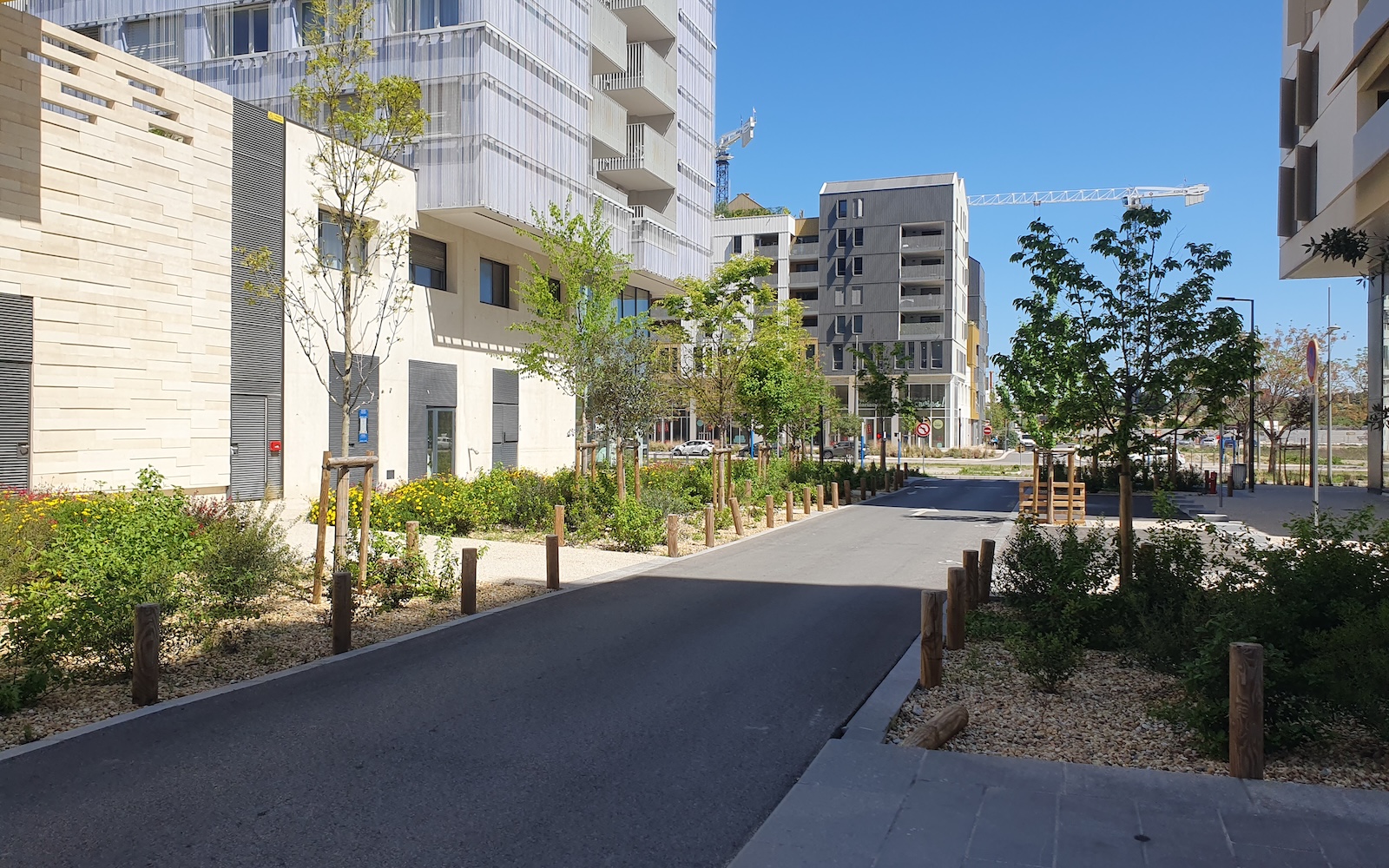 Renaturation des espaces publics - Quartier Port Marianne