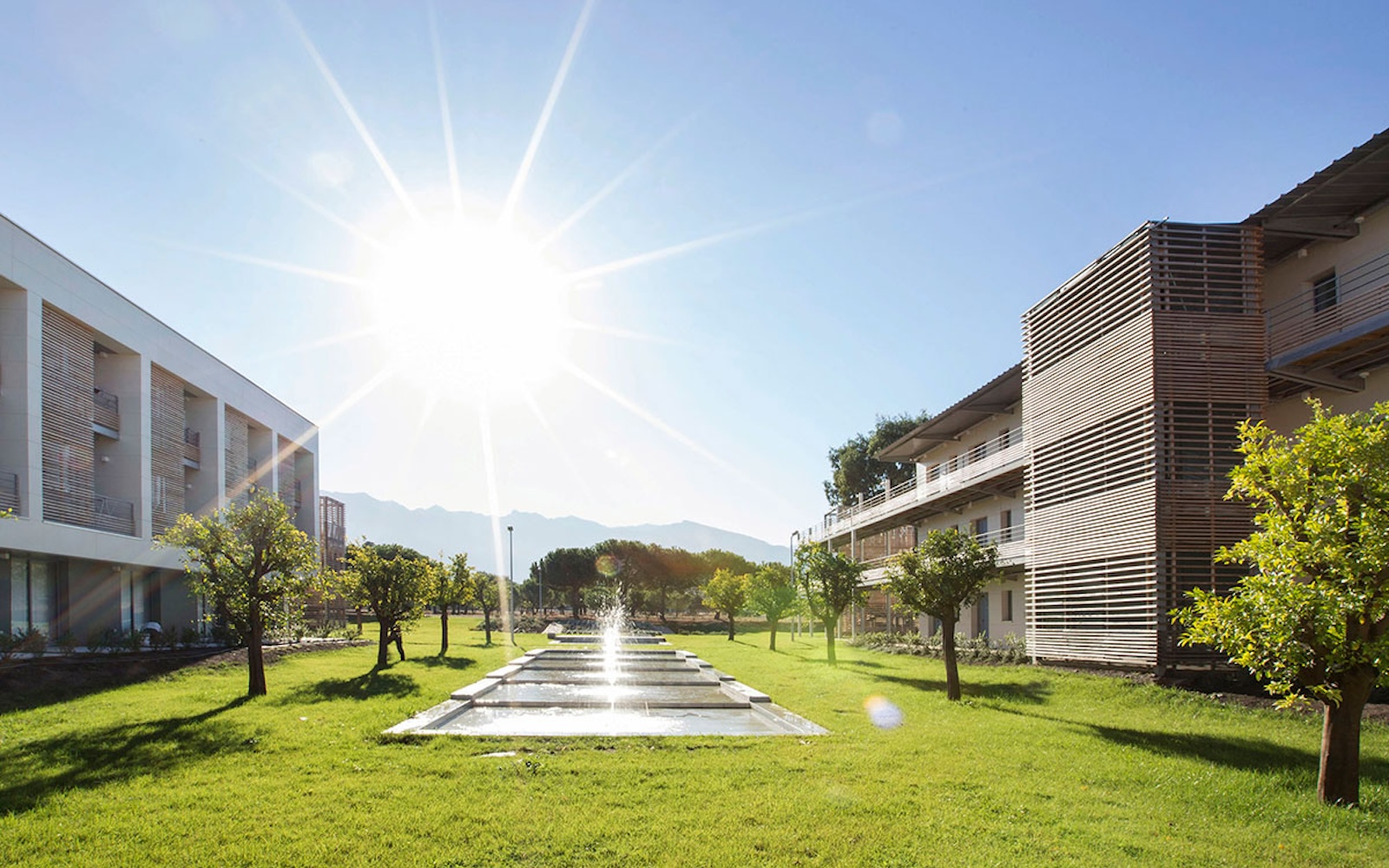 Logements pour célibataires à Calvi