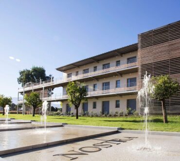 Logements pour célibataires à Calvi