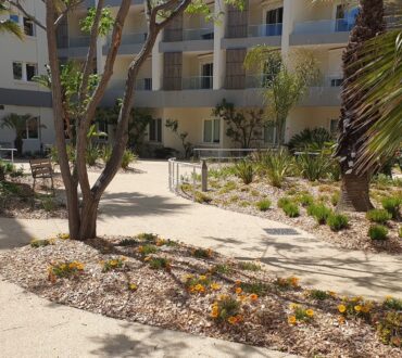 Rénovation et extension de l’IMM Mar Vivo