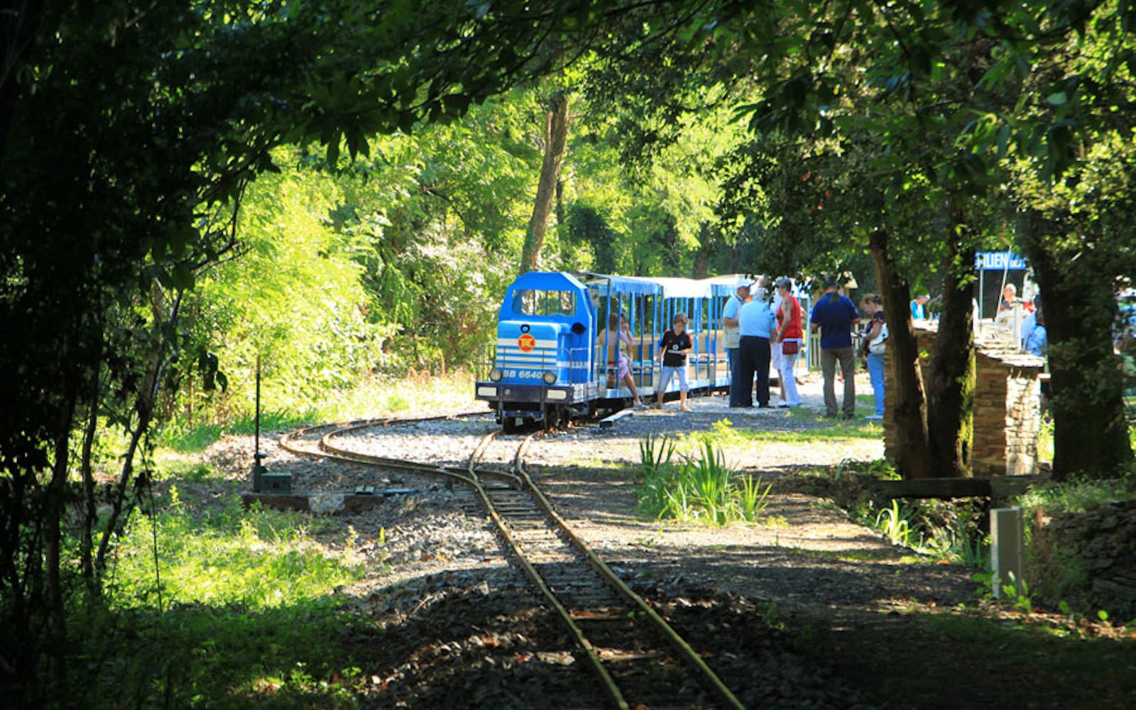 Ligne verte des Cévennes