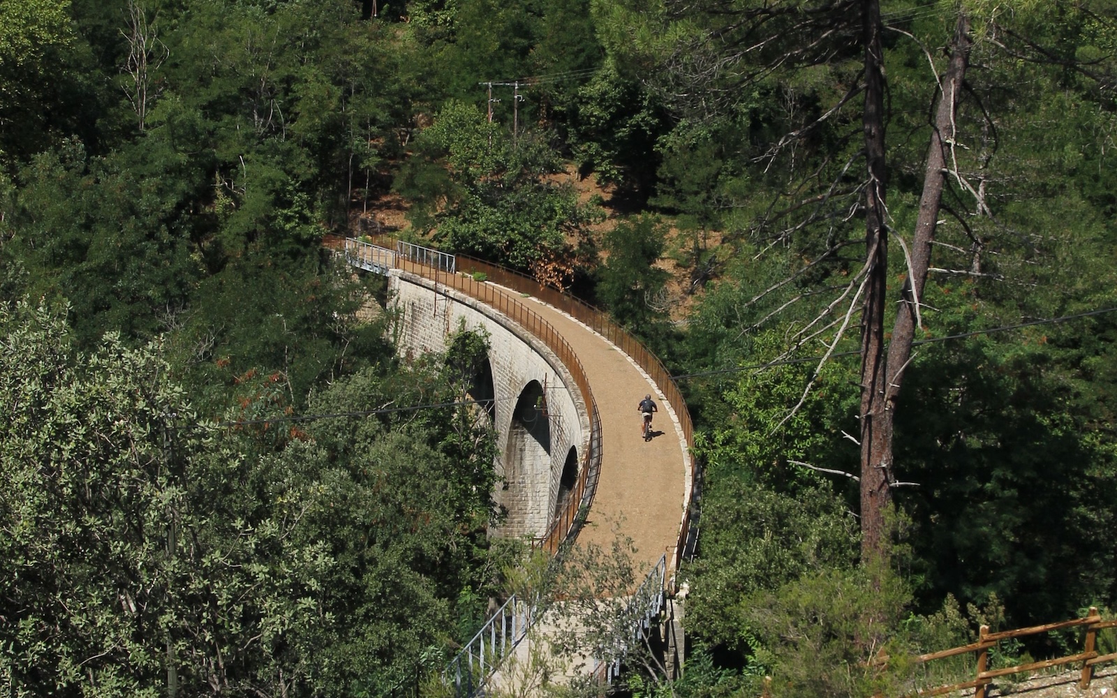 Ligne verte des Cévennes